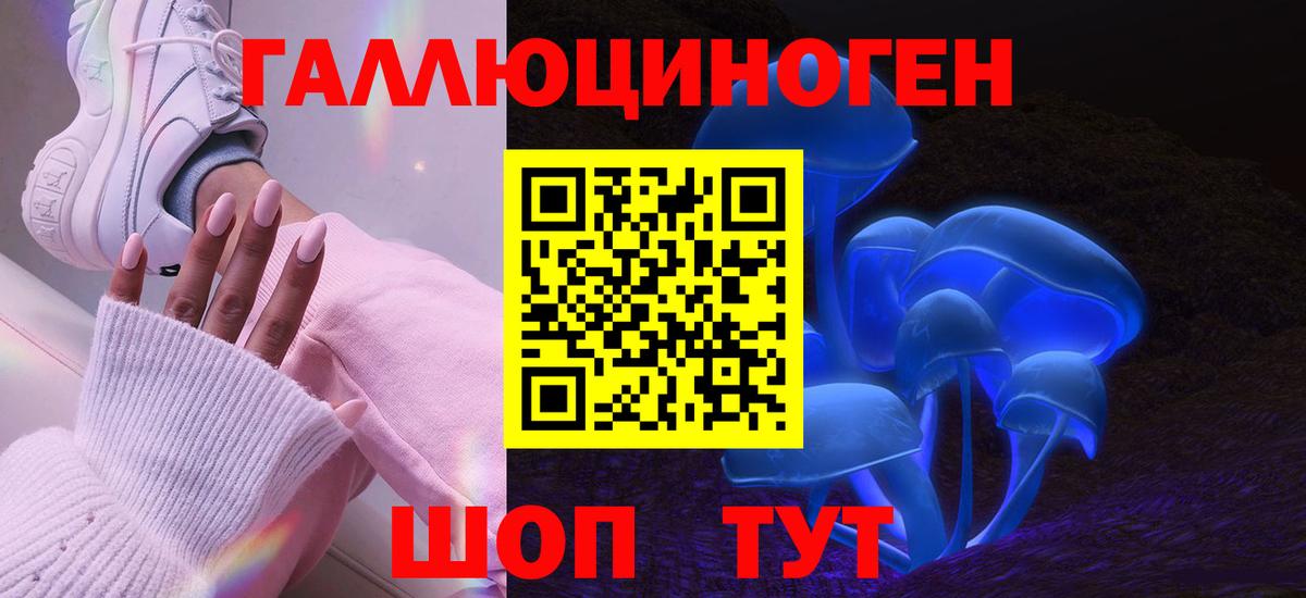 Галлюциногенные грибы Cubensis Томск